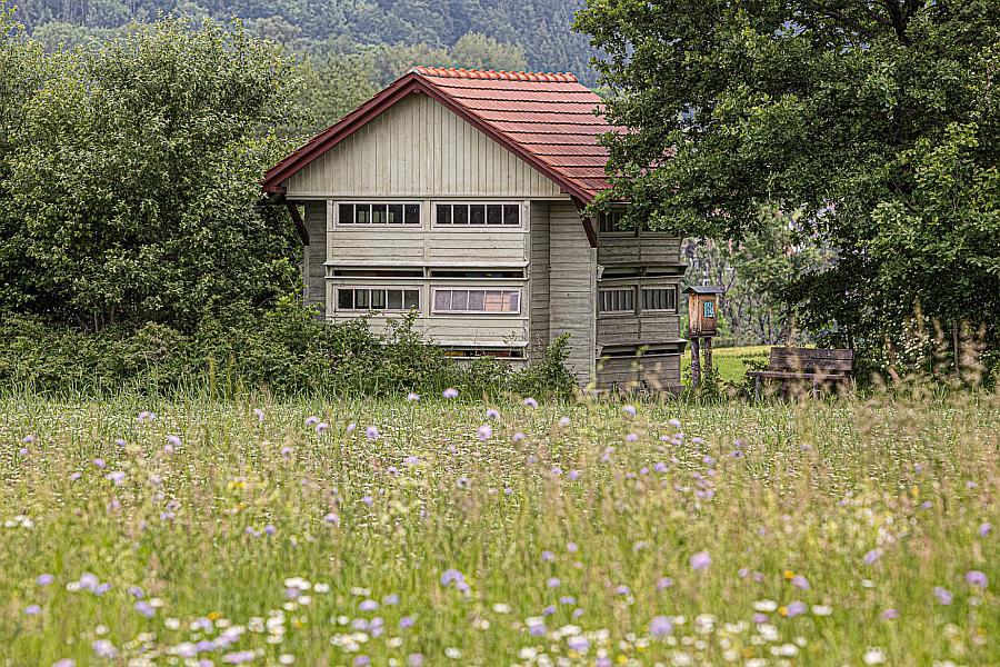 Heimatkunde, Erlebnistag und Familiensamstag im Bauernhaus-Museum in Wolfegg!