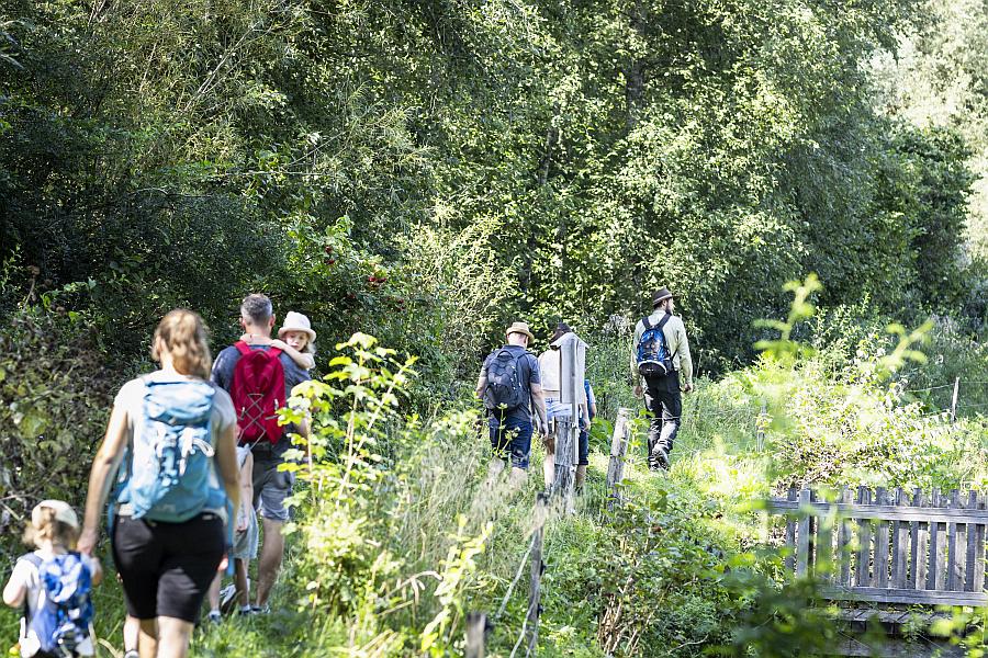 Botanische Wanderung auf die Alpe