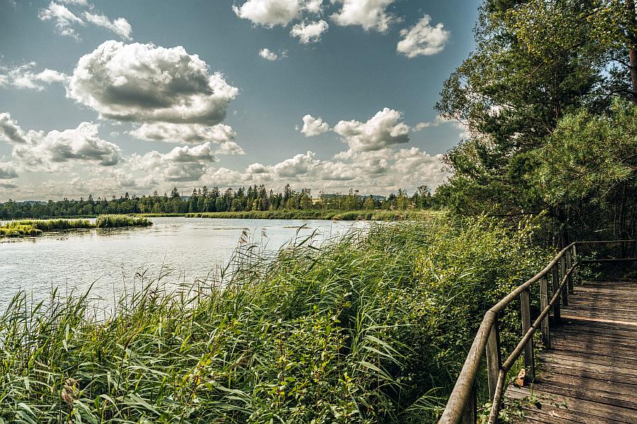 Jetzt für den Bad Wurzacher Moor‑Weg abstimmen!