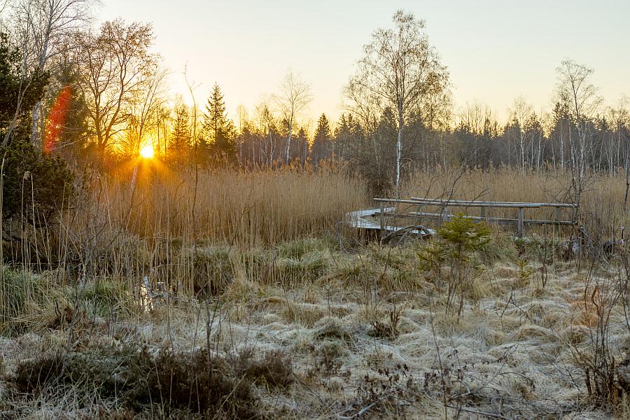 Führung: Morgenstund‘ hat Gold im Mund