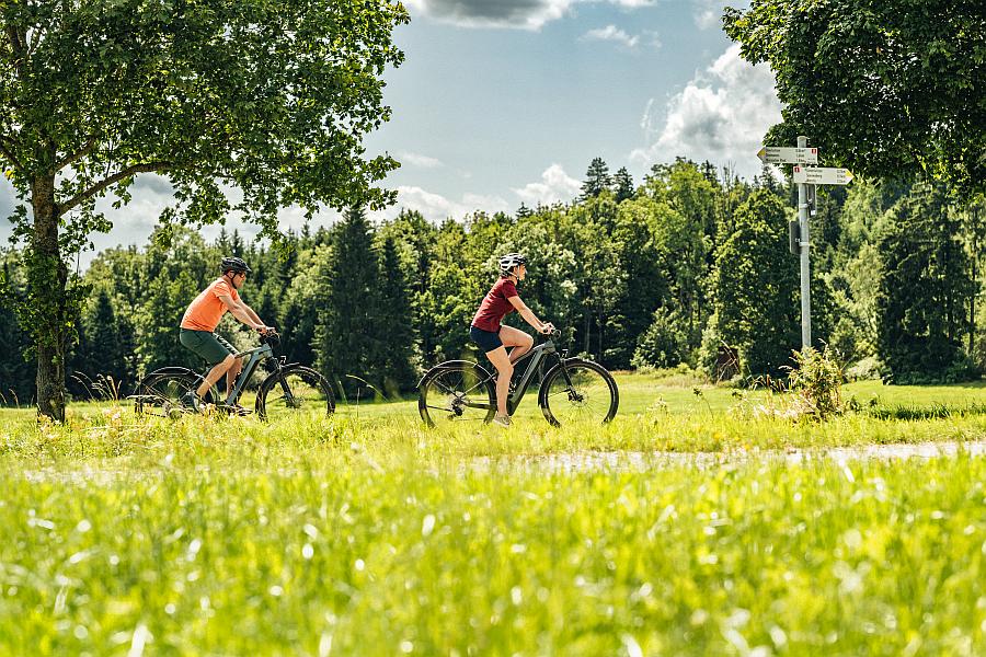 Geführte Radtouren rund um Bad Wurzach