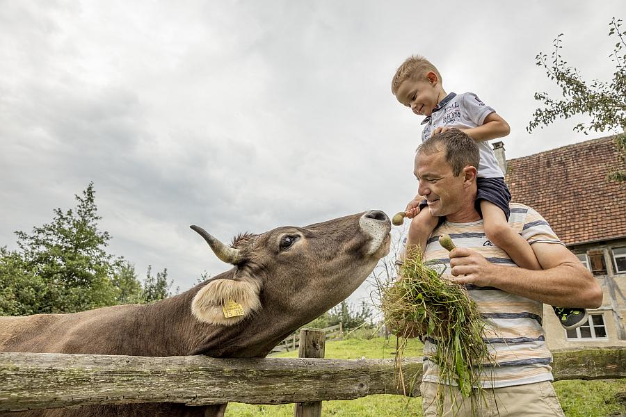 „Unsere Bauernhoftiere“