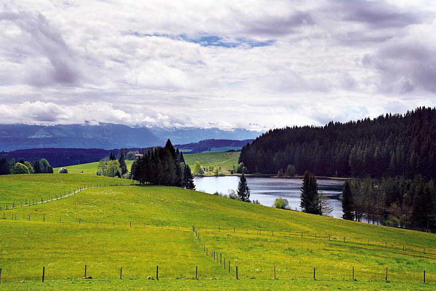 Wanderung mit dem Ranger rund um den Eschacher Weiher