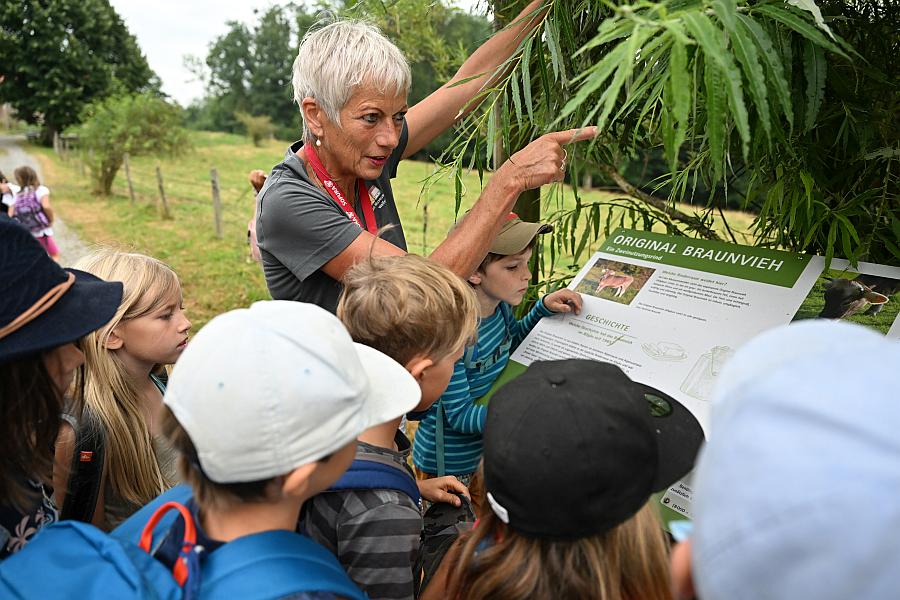 Spannende Ferienerlebnisse im Bauernhaus-Museum – ganz ohne Eltern?