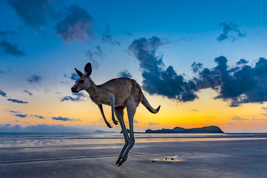 Live-Reportage: Australien – Ein Jahr Freiheit