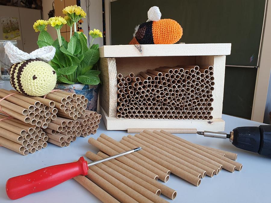 Familienaktion: Wildbienen