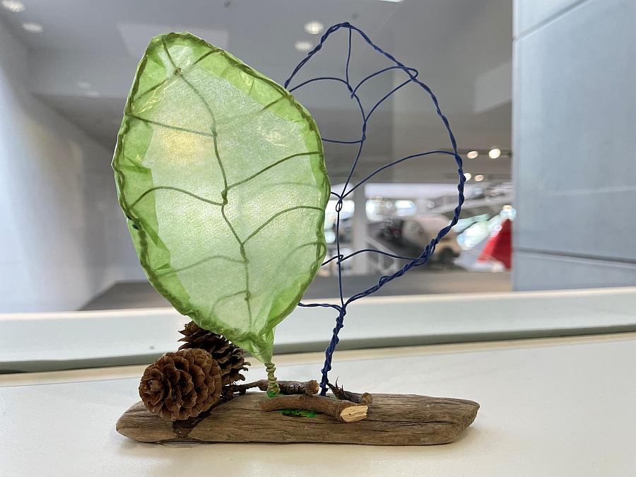 Kinder-Workshop „Gerippe und Haut – Von der Natur abgeschaut“
