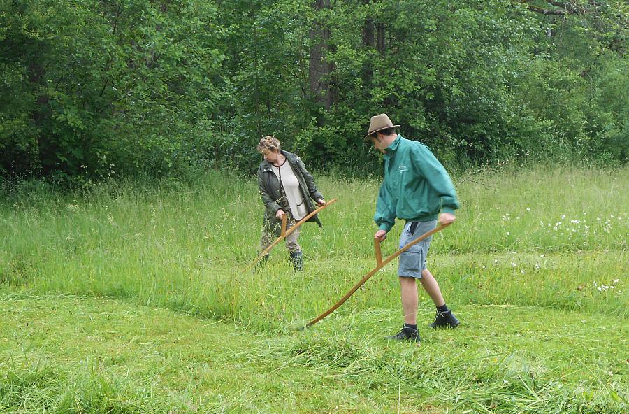 Sensenmähkurs