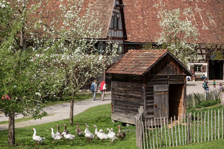 Heimatkunde, Osterprogramm und Erlebnistag im Bauernhaus-Museum