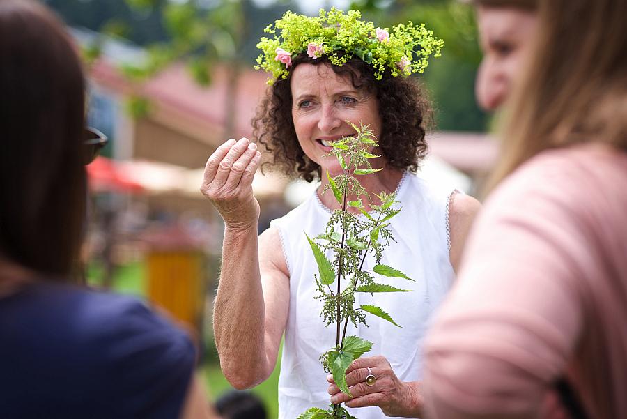 Waldwelt lockt mit Kräuterwissen