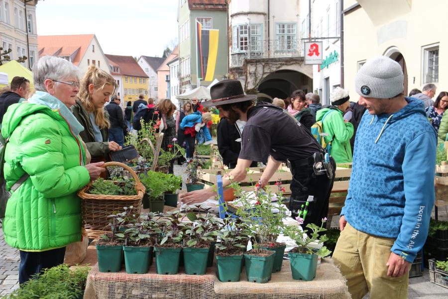 Isnyer Frühlingsmarkt bringt frisches Grün in die Stadt