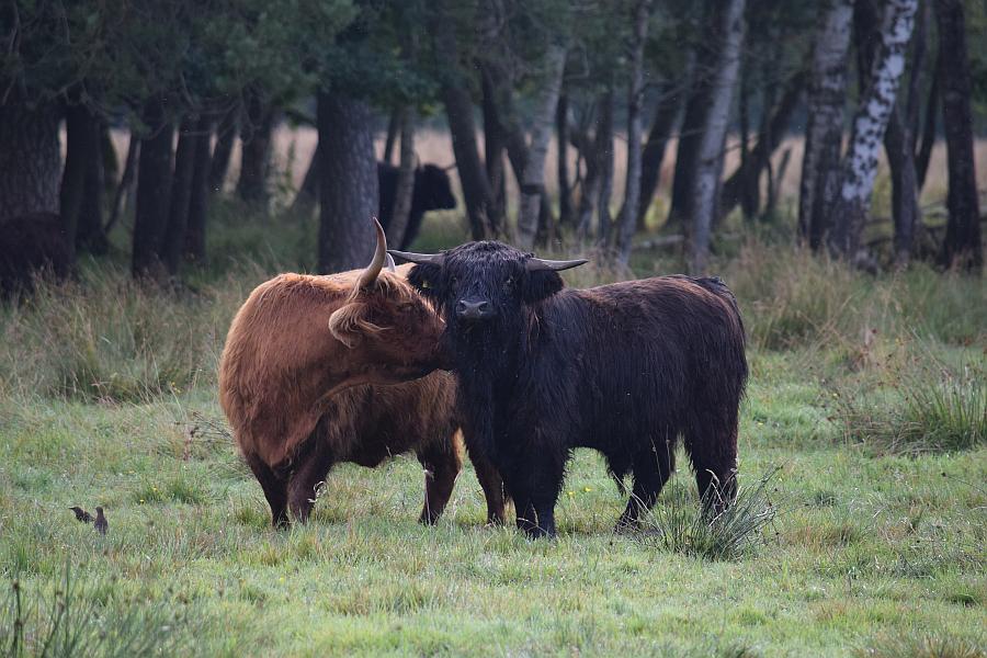 Oberschwäbischer Naturschutztag zu Gast im Naturschutzzentrum Wilhelmsdorf