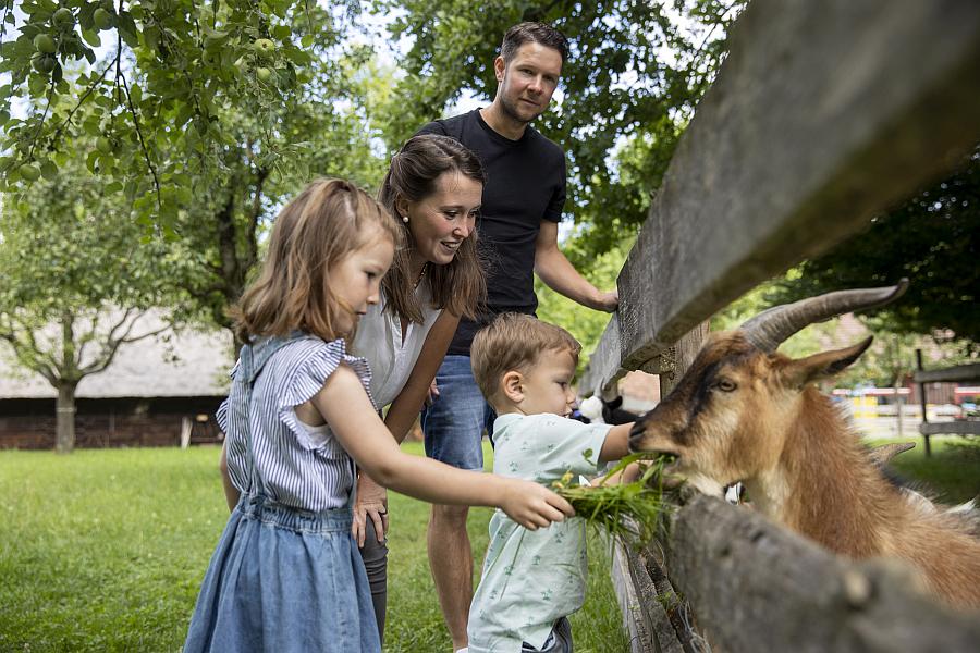 FamilienSonntag „Tiere auf dem Bauernhof“ im Museumsdorf