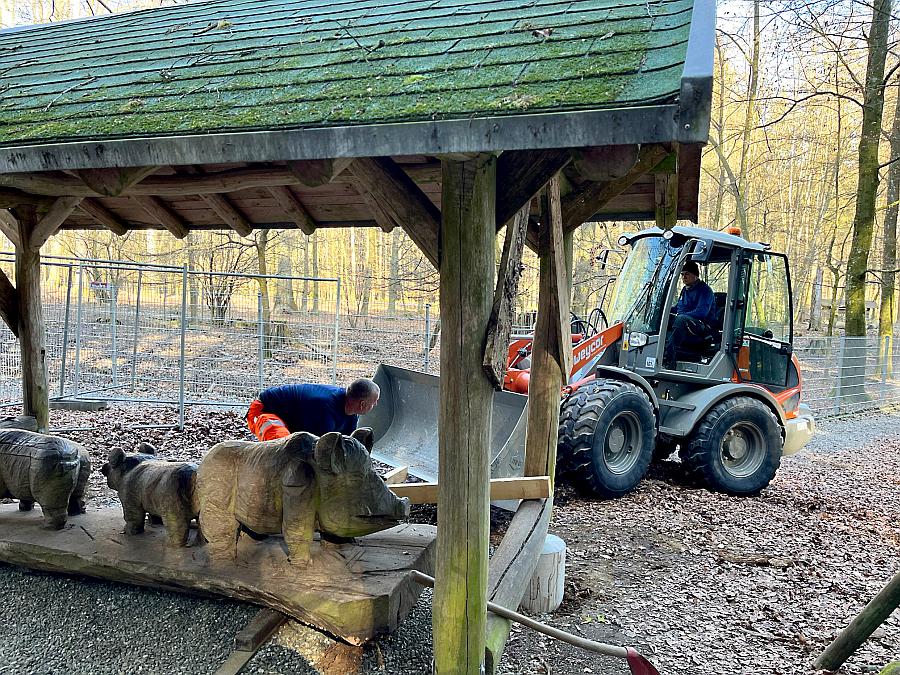 images/01halloRV/25/03/19Tannenbühl_Wildschwein_002.jpg#joomlaImage://local-images/01halloRV/25/03/19Tannenbühl_Wildschwein_002.jpg?width=900&height=675