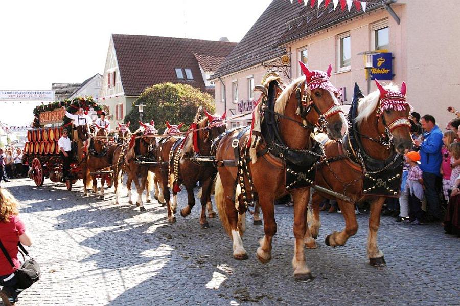 Edle Rösser und historische Kutschen