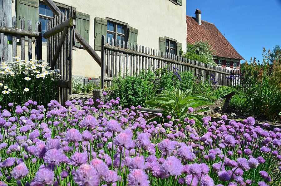 Führungen im Museumsdorf: „Geheimnisse der Wildkräuter“