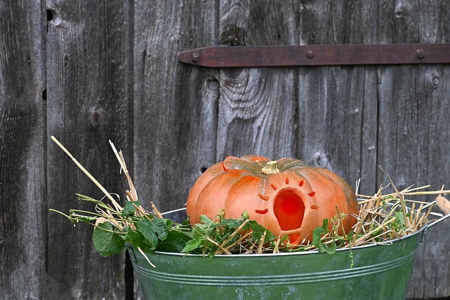 Herbst voller Möglichkeiten – die vhs Bad Wurzach lädt ein!