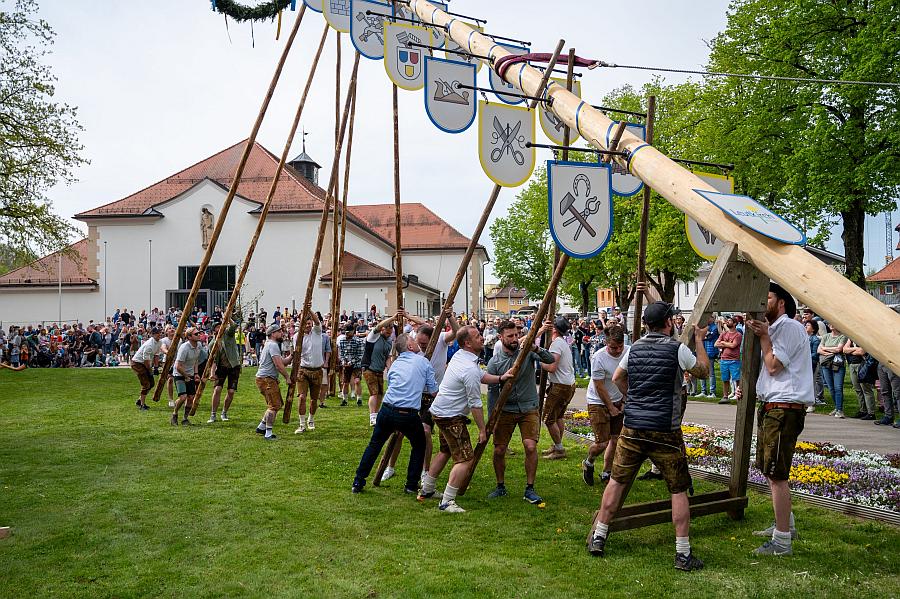 Maibaumstellen in Leutkirch – Fortsetzung einer neuen Tradition