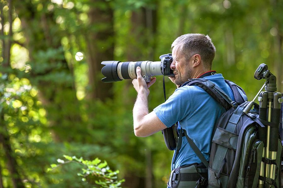 Naturfotografie-Workshop „Fotogenes Wurzacher Ried“