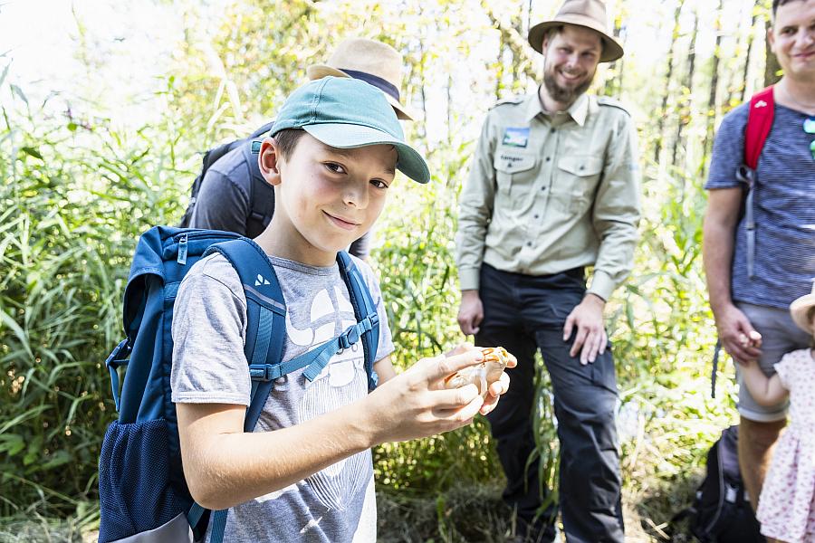 Familienführungen zu den Wasserbüffeln