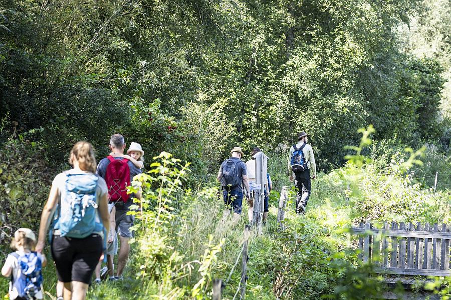Familienführungen zu den Wasserbüffeln