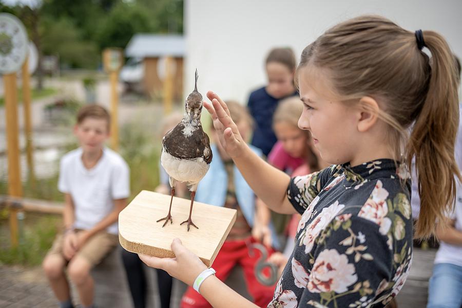 Familienführung: Alle Vögel sind schon da