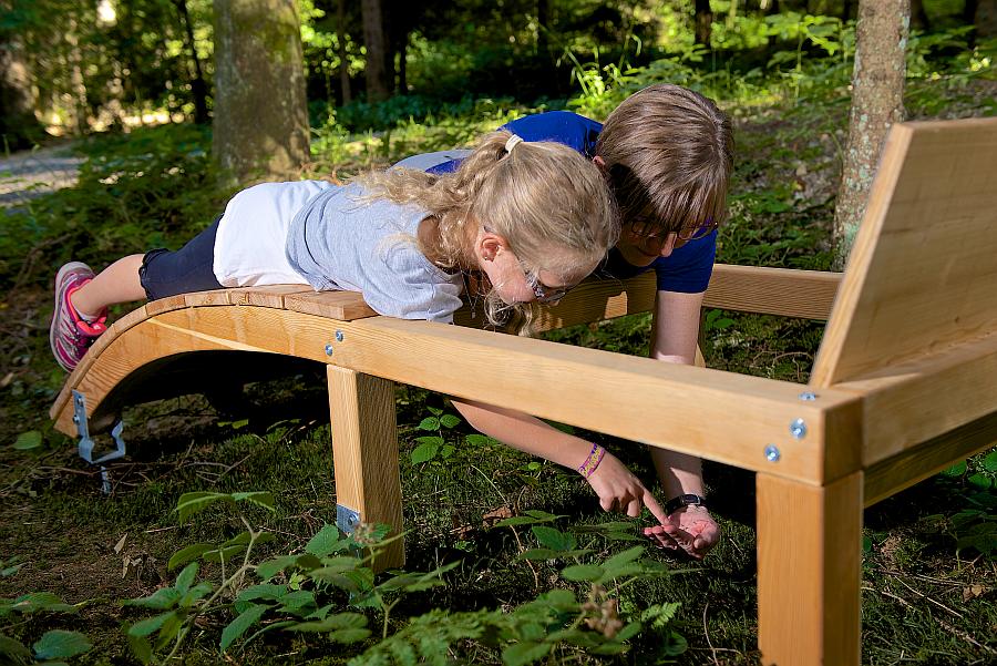 Seifenblasen, Blüten und Echsen in der Waldwelt Skywalk Allgäu