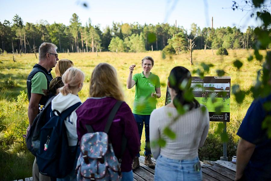 NaturErlebnisTage: Entdeckungstour durch die Moorlandschaft